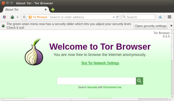 Как скачивать торренты через тор браузер мега не работает google в tor browser мега